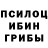 Псилоцибиновые грибы Psilocybine cubensis VipulKumar Parmar
