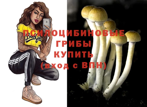 a pvp Абинск