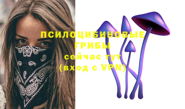 ECSTASY Абдулино