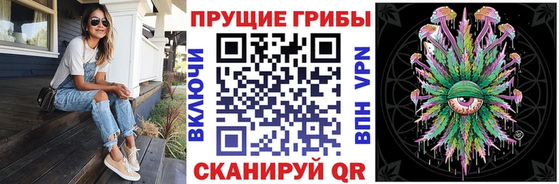 Галлюциногенные грибы Psilocybine cubensis Липецк