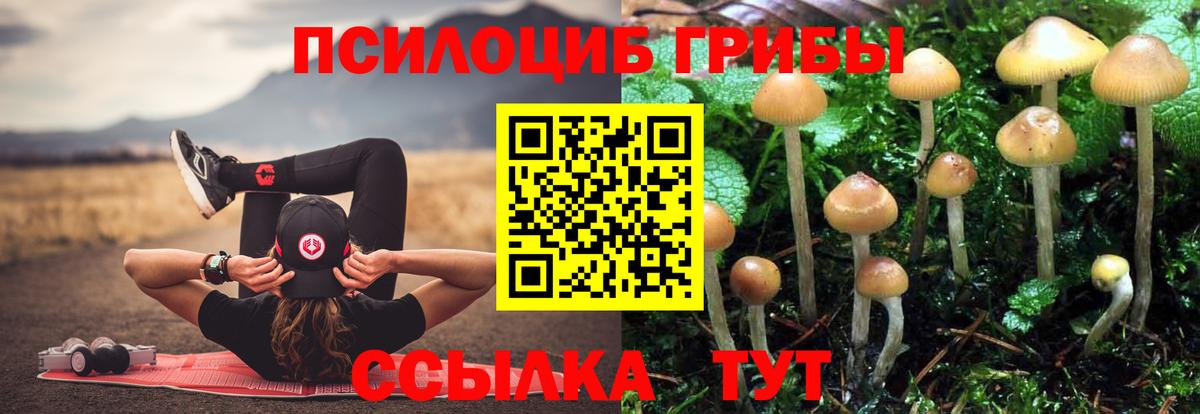 Псилоцибиновые грибы прущие грибы Липецк