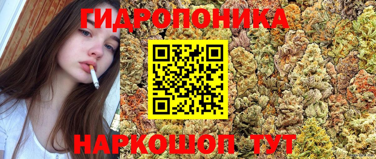 Бошки Шишки White Widow  Шишки марихуана конопля  Вход с VPN  Липецк  Шишки марихуана тримм  Конопля марихуана 